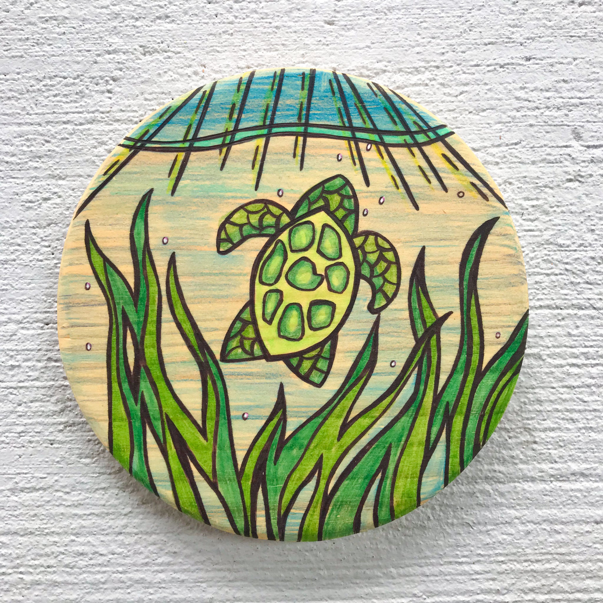 Sea Turtle Round (4'')